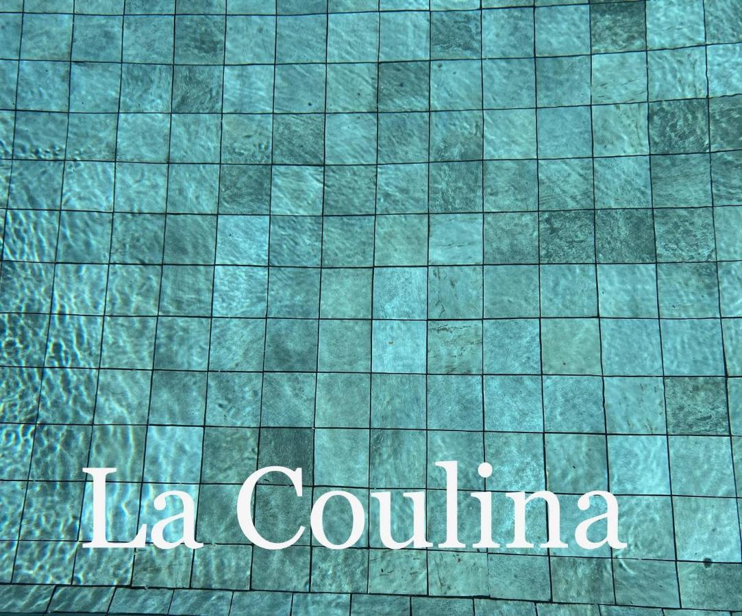 니스 La Coulina 빌라 외부 사진